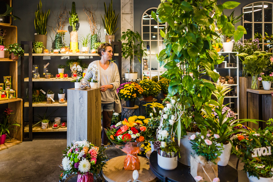 Coccinelle Centre Commerciale Les Roches Douvres